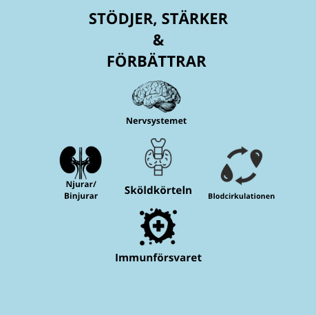 Rosenrot, Ekologisk 50g